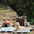 대원철뚝집 이미지