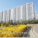 청석개발주 네이버블로그