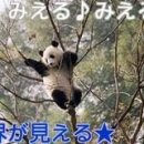 퀘스트박스 이미지