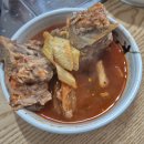[해남읍] 숨은 백반 맛집 <나무와 새> 식당 내돈내산 후기
