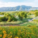 곡성안개농촌체험휴양마을 이미지