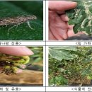 울산광역시농업기술센터 이미지