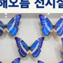 해오름전시실 이미지