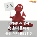 1577-1577 대리운전] 포켓몬Go 성지 속초마을에서 즐길 거리 BEST 5 이미지