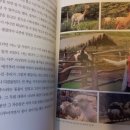 내 영혼에 바람이 분다 이미지