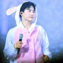 토끼나라 이미지