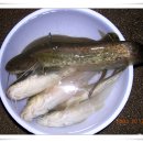 안주당 - 동대문구 황물로 168 | 안주당