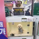 지에스더프레시 고덕그라시움점 이미지