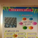 해피파동