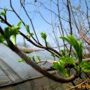 와우농장 이미지