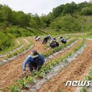 해들농산