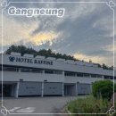 더K모텔1실1주차 | 강릉 여행 숙소 추천 복층 구조의 깔끔한 라피네호텔 내돈내산