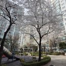 방배1차현대, 2차 현대홈타운 이미지