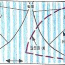 바이어스 Daum카페