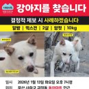 사하구-01 이미지