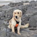 언주로7길 이미지