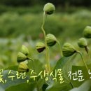 참샘골농원 이미지