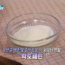 리스펙타 유산균 질건강 유산균 이미지