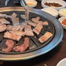 네일츄르 이미지
