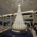 몽중헌 반포 | (몽중헌반포점) 반포 몽중헌 딤섬 디너 코스 후기, 실패 없는 중식 파인다이닝