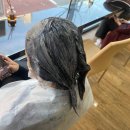 찰스헤어두 이미지