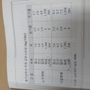 양상추 이미지