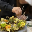 프리저브드플라워 교육 후기 창업 반 꽃바구니 리스 센터피스