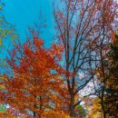 새천년농원 이미지