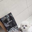 두루축산 - 태백시 고원로 61 | 🐶 강아지관절사료 찾는다면? 웰스비 프리미엄 유기농 저알러지 사료 급여 후기💛