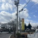 대흘초등학교 | 대흘 도민맛집 농부와꽃돼지