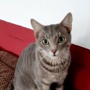 나홀로민박 이미지