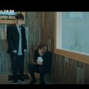 펫바라기