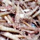 해가람하우스 펜션 이미지