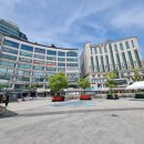 국수나무(화정점) 이미지