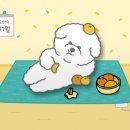 도그매니져 네이버블로그