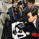 파이온택 이미지
