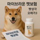 브라운동물병원 | 반려동물 건강 책임지는 마이브라운 펫보험