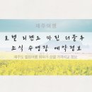 호텔 리젠트 마린 더블루 조식 수영장 예약정보