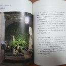 백상현 농장 | [영화] 레터스 투 줄리엣을 보고 나서