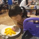 하늘이와 함께하는 세계여행 ep 8 (나트랑자유여행, 나트랑쉐라톤호텔, 나트랑응온갤러리, 나트랑콩카페...