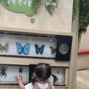 기린숲유치원 | 과천어린이과학관 19개월 아기와 방문 후기｜아이와 가볼만한 곳(예약방법 및 주차)