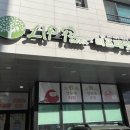 앵무새카페리프패럿분당