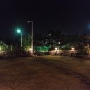 오멍가멍 애견카페&호텔 이미지