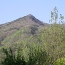 미사리촌집 이미지