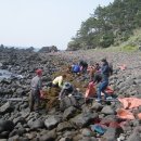 중문동-8 이미지