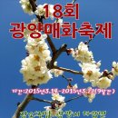 3월3일 화요일 출석부(18회 광양매화축제) 이미지