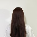 다가즈헤어 네이버블로그