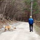 곰두리산장 | 용대자연휴양림