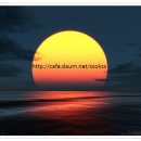 종착역 Daum카페
