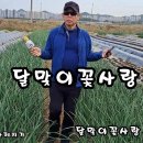 (달맞이꽃사랑 가수 김군)이 우리 공연장 으로 찿아올것 같아요.노래연습 하셔요 ~~♡♡♡(가요제) 열어야죠~♡ 이미지